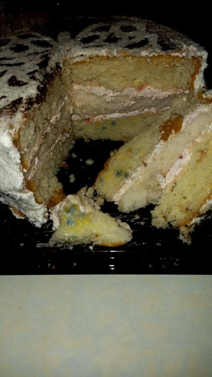Торт с «пенициллином»🍰