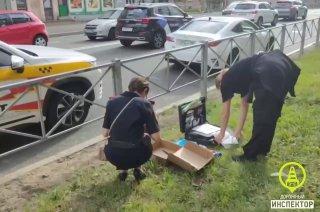 В Приморском районе случайный прохожий пострадал от ревнивца во время ссоры...