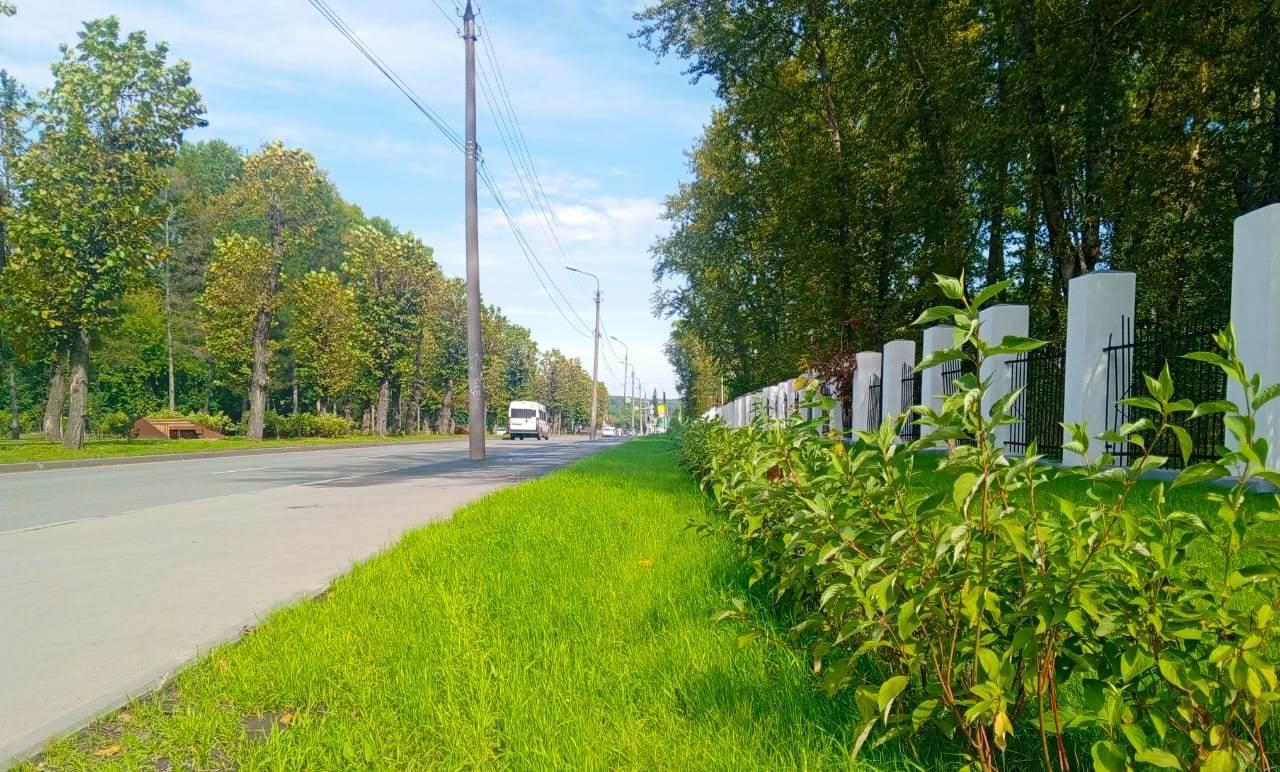 Жителей Новосибирска призывают бережно относиться к новым газонам