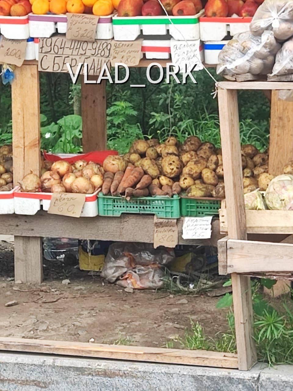 🤬 На обочине дороги на Адмирала Смирнова, 14 во Владивостоке продавец-мигрант и живёт, и торгует на земле, стоящей на балансе в собственности государства.