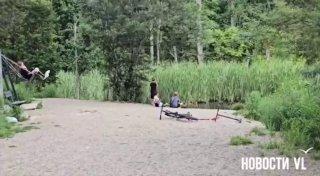 Во Владивостоке дети забрасывали уток камнями.