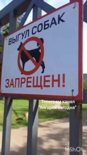 Ангарск, 19 микр, двор школы 9. И главное постоянно срывают таблички, а школа...
