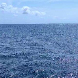 На Сахалине пенсионерка-дайвер сутки провела в открытом море из-за ошибки инструктора