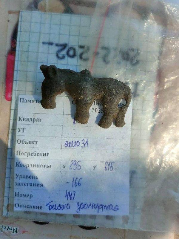 На территории музея-заповедника «Томская Писаница» археологи обнаружили бронзовую бляшку