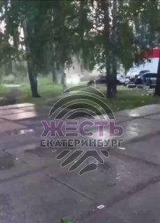 В Екатеринбурге на Симферопольской, 26а, немецкая овчарка напала на женщину с...