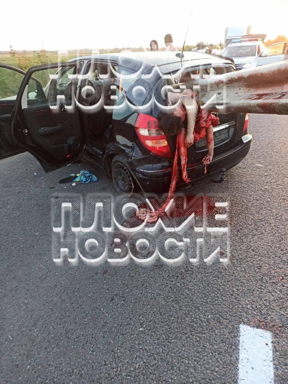 Жесть из Львовской области: огромный отбойник пронзил автомобиль с молодой парой