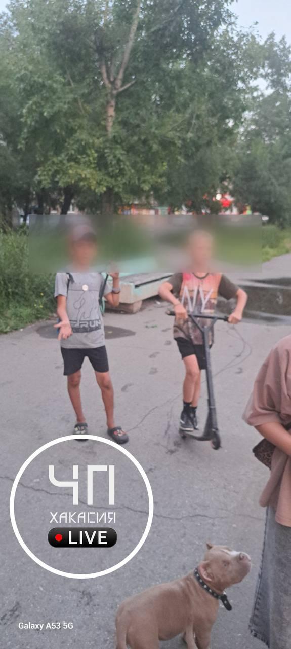 Черногорск, сквер по Космонавтов Вот такая замечательная молодёжь поломала...