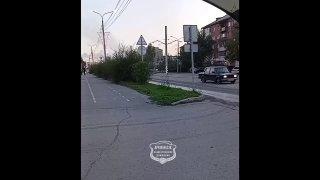На сколько я знаю, кустарники, посаженные слишком близко к дороге, могут...