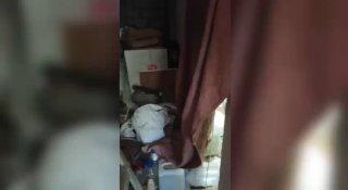 В СНТ Парнас в Выборгском районе ЛО правоохранители задержали 36-летнего...