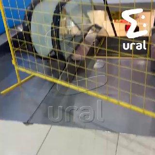 В ТЦ «Ботаника Молл» ребёнка затянуло в эскалатор и оторвало кисть руки