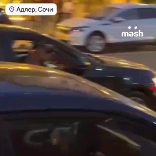 В Адлере заметили местного «авторитета» с личным водителем. У пёселя в модных очках уже куча поклонников в соцсетях.