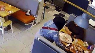 В Звенигороде малыш забыл пингвинчика в кафе, а когда вернулся, то игрушки...