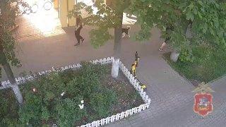 В Химках молодой человек привязал свою собаку породы хаски к перилам у входа...