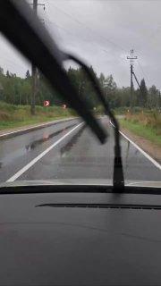 Лося заметили на дороге в Подмосковье В августе у сохатых начинается период...