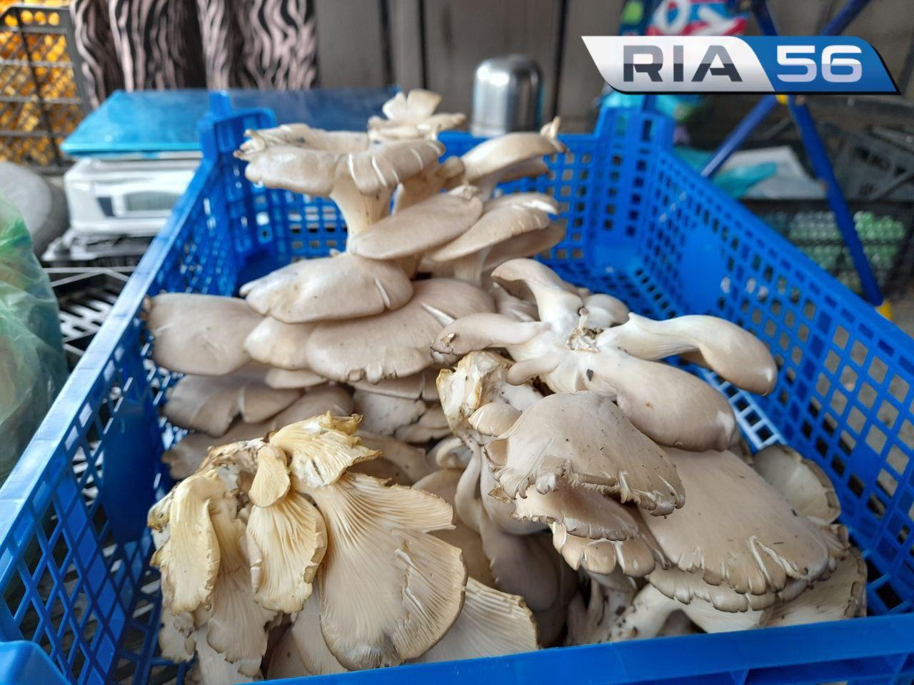 Какие грибы продают на рынках Оренбурга Пока грибники ищут добычу в лесах,...