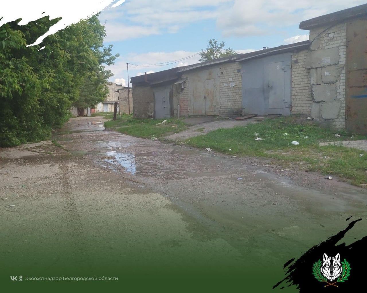 Молочный завод затопил гаражи в Белгороде