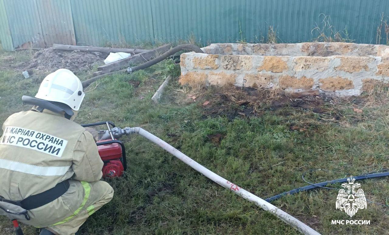В Белгородской области спасли корову, упавшую в яму с водой