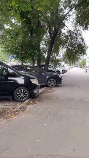 Парень показал тот самый дорожный знак, о котором никогда не расскажут в...
