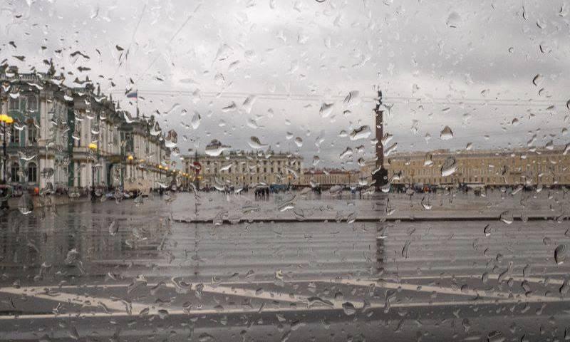 Лето в Питере ВСЁ: термометры в восточной части Ленобласти сегодня ночью...