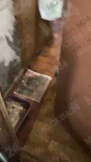 В Зюзино житель многоэтажки превратил свою квартиру в рассадник вони, грязи и...