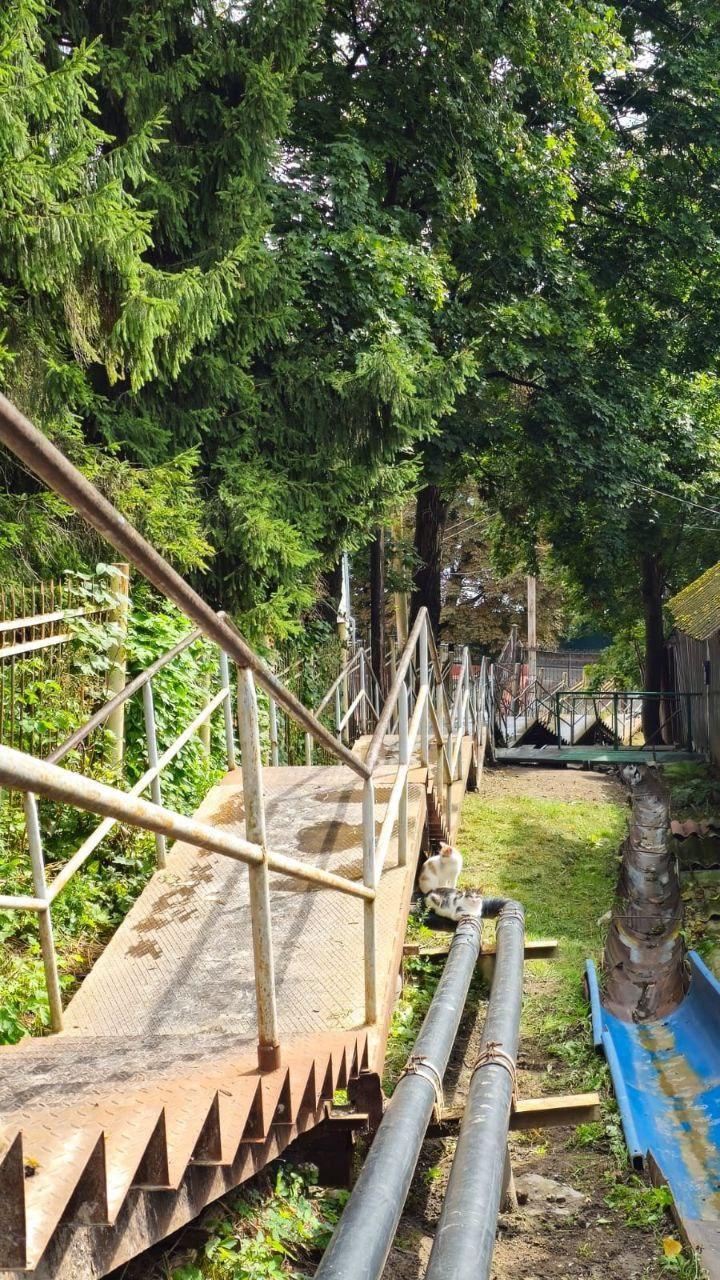 В Брянске очистили от мусора Верхнюю Лубянку