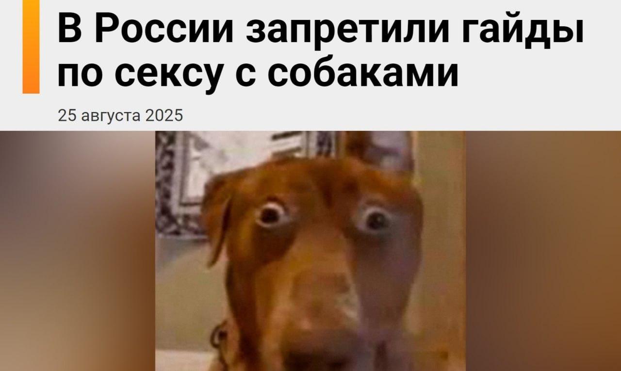 Секс с собаками В С Ё: в России запретили гайды по сексу с собаками.