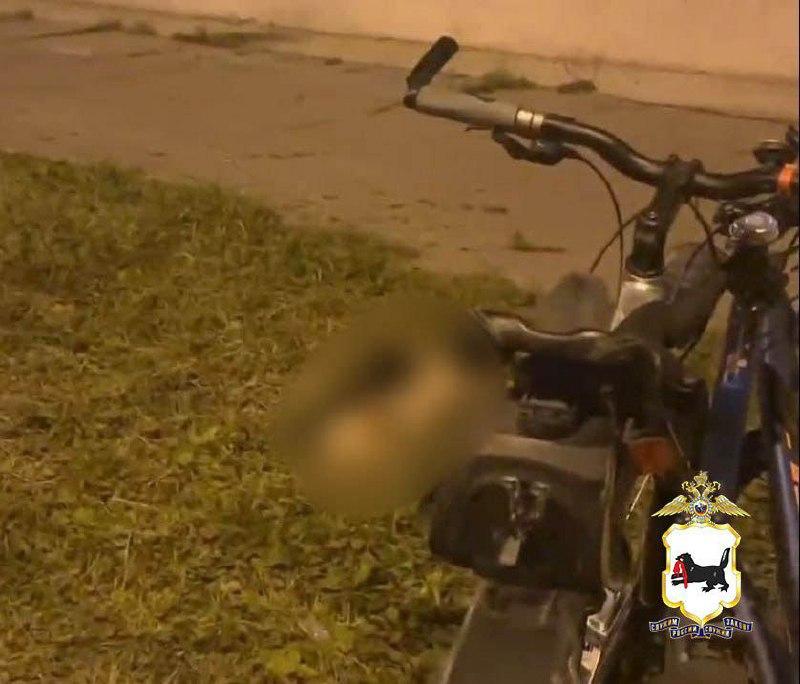 В Ангарске суд вынес приговор в отношении мужчины, сбросившего собаку с окна многоквартирного дома