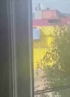 В Бурятии девушка стала жертвой ссоры, попав под колеса праворульной «япошки»...