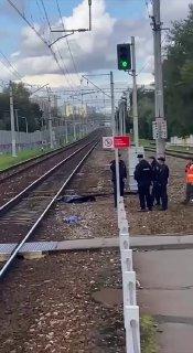 На МЦД-1 поезд сбил девушку на станции Дегунино. Пострадавшая скончалась на...
