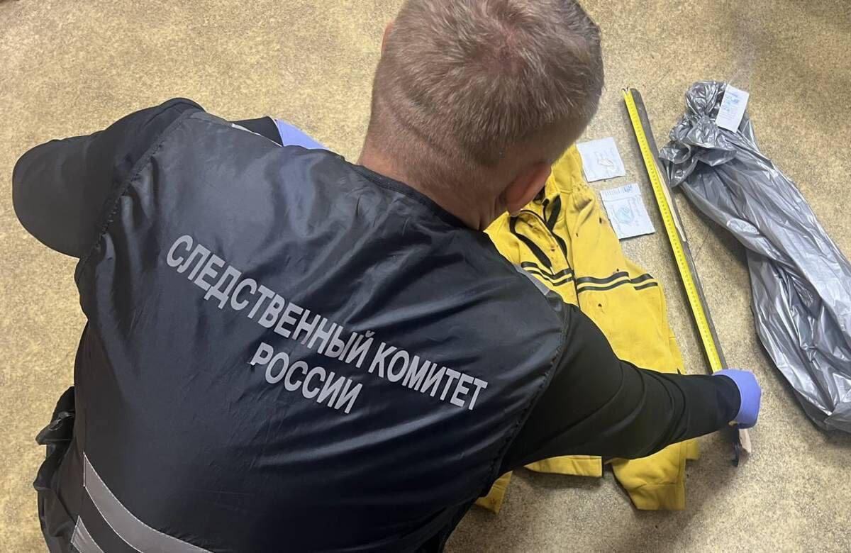 В Брянске перед судом предстанет 28-летний мужчина, обвиняемый в убийстве из-за спора о выгуле собаки без намордника