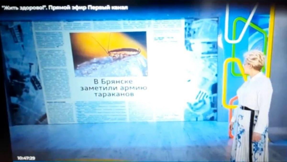 Телеведущая Елена Малышева заявила в эфире Первого канала о нашествии тараканов в Брянске.