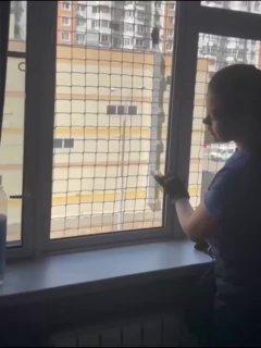 В одной из московских квартир под москитной сеткой оказалась в ловушке...