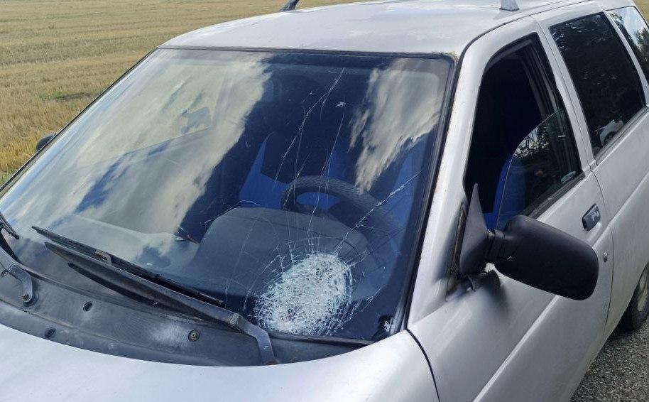 Вчера в селе Косилово Грайворонского округа сбили 15-летнюю девочку на...