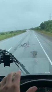 🚓Из Хабаровска во Владивосток направляются десятки экипажей ДПС для обеспечения безопасности в преддверии ВЭФ.