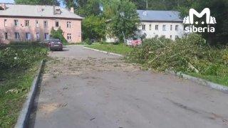 Ритуальные услуги, аварийные деревья и свалка — в таком окружении живут люди...