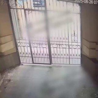 «Самая сильная организация — это дол****ы. У них везде свои люди»