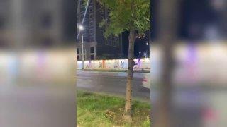 В Махачкале неизвестные осквернили портреты участников СВО Несколько полотен...