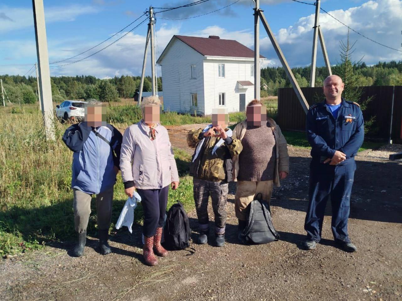 Четыре подруги отправились за грибами в Подмосковье, но вместо «тихой охоты»...