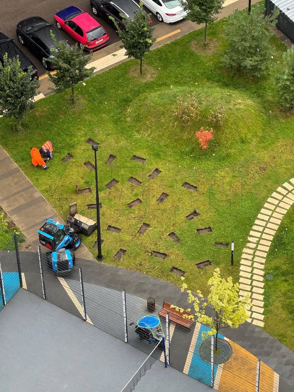 Импровизированное «кладбище» посреди Новой Москвы привело местных жителей в ужас