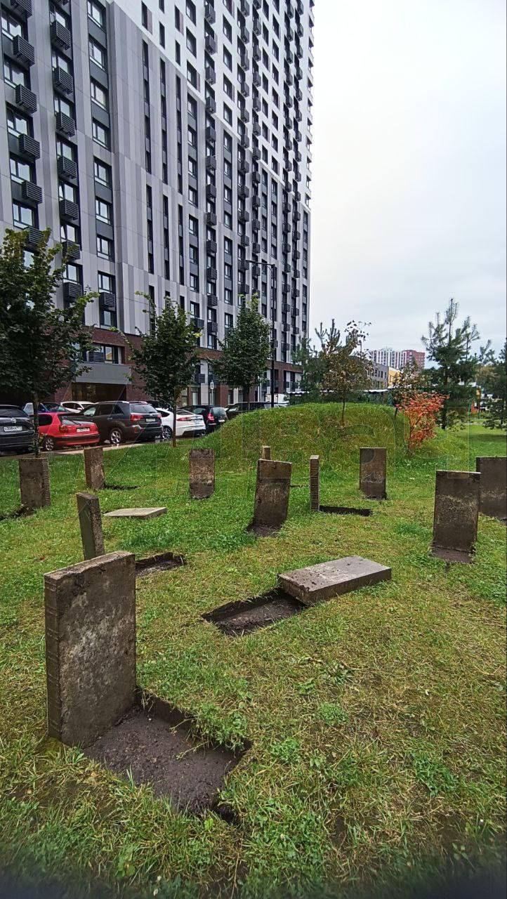 Импровизированное «кладбище» посреди Новой Москвы привело местных жителей в ужас