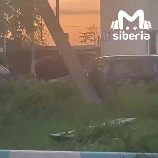 Всадника на коне заметили на Хилке 🌇 Источник: ЧП Новосибирск