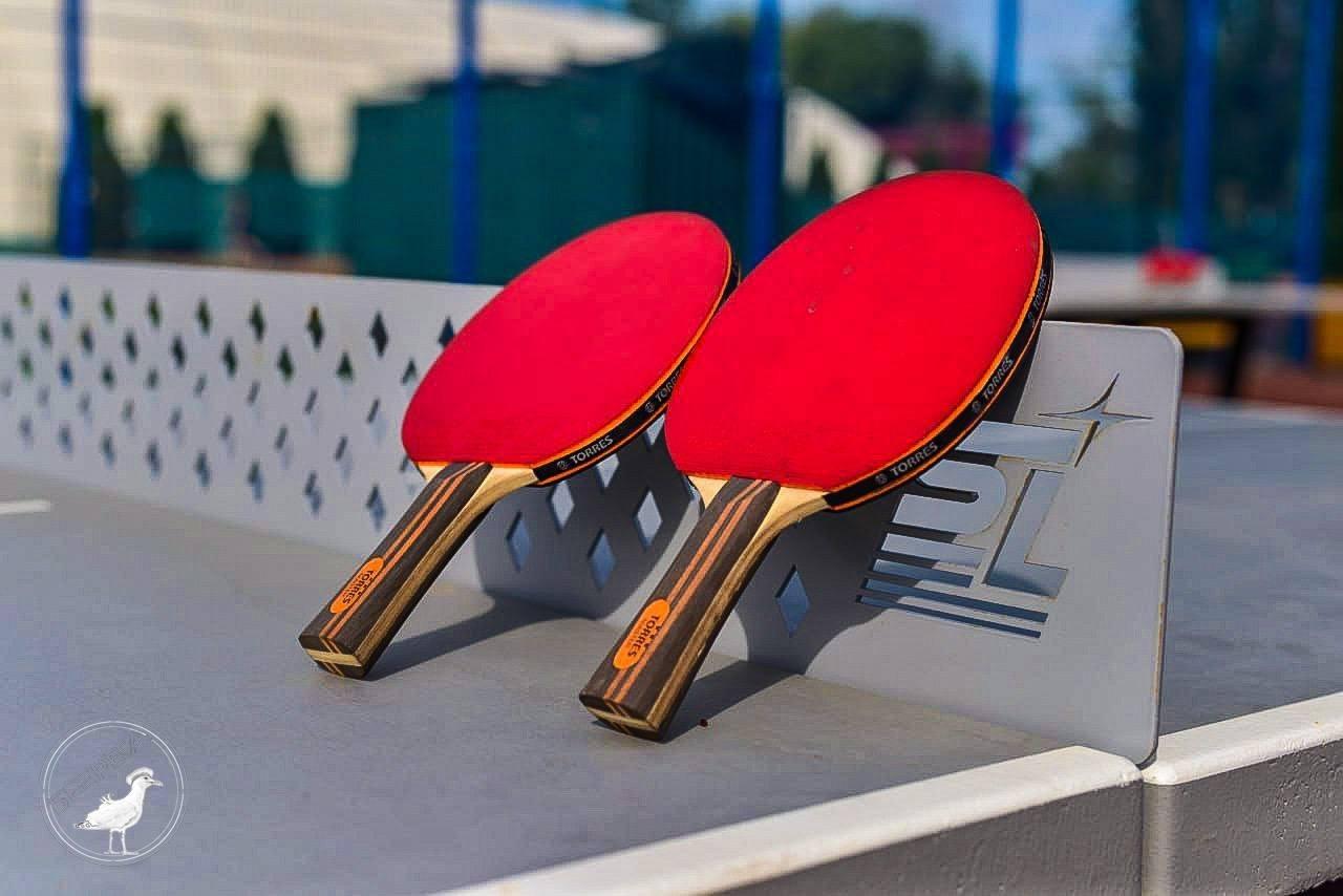 🏓 В парке «Берега» появятся корты для тенниса