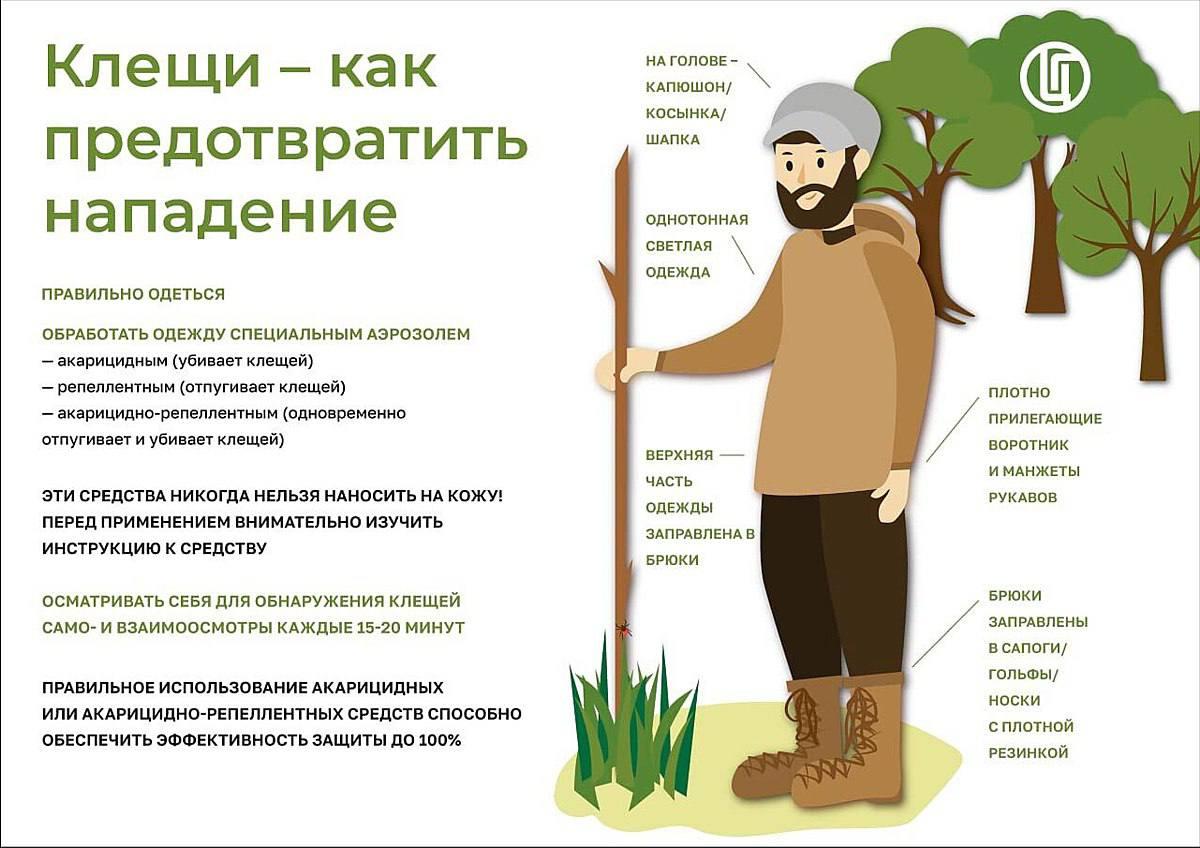 Клещи продолжают атаковать жителей края