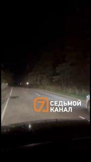 Наперегонки с медведем, или Обычный вечер в Сибири