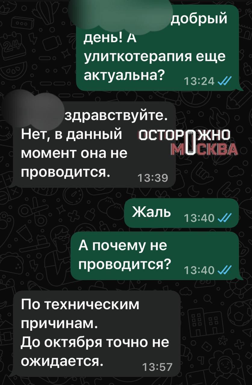 Улиткотерапия или массаж лица гигантскими ахатинами: московский косметолог —...
