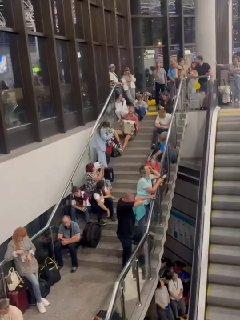 Парень из Новосибирска разрядил обстановку в аэропорту Сочи. Более 60 рейсов...
