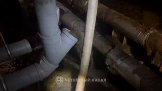 Подвал жилого дома третий раз за неделю затопило канализационными стоками