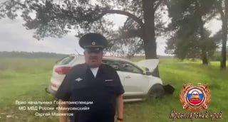 В Красноярском крае иномарка в лесу влетела в дерево: два человека погибли....