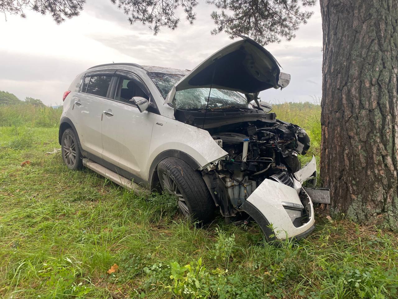 В Красноярском крае иномарка в лесу влетела в дерево: два человека погибли....