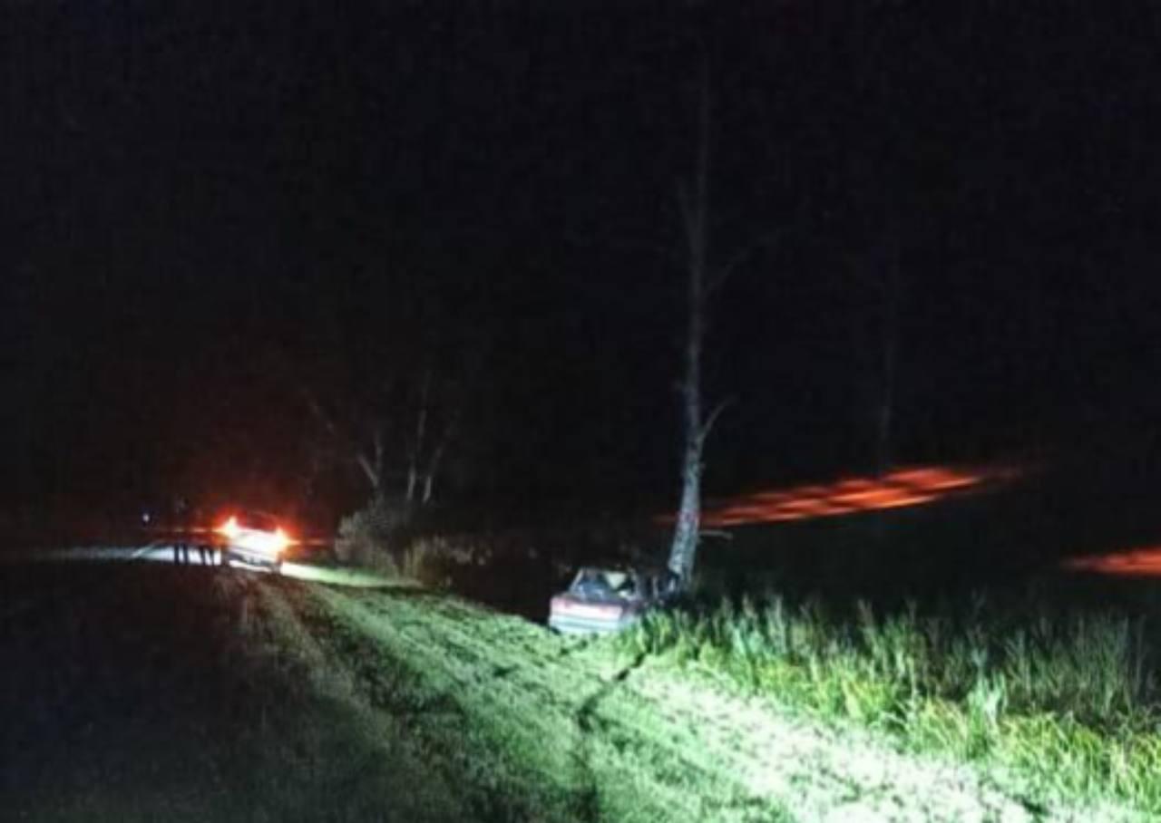 Водитель и пассажирка погибли в ДТП с лосем под Новосибирском